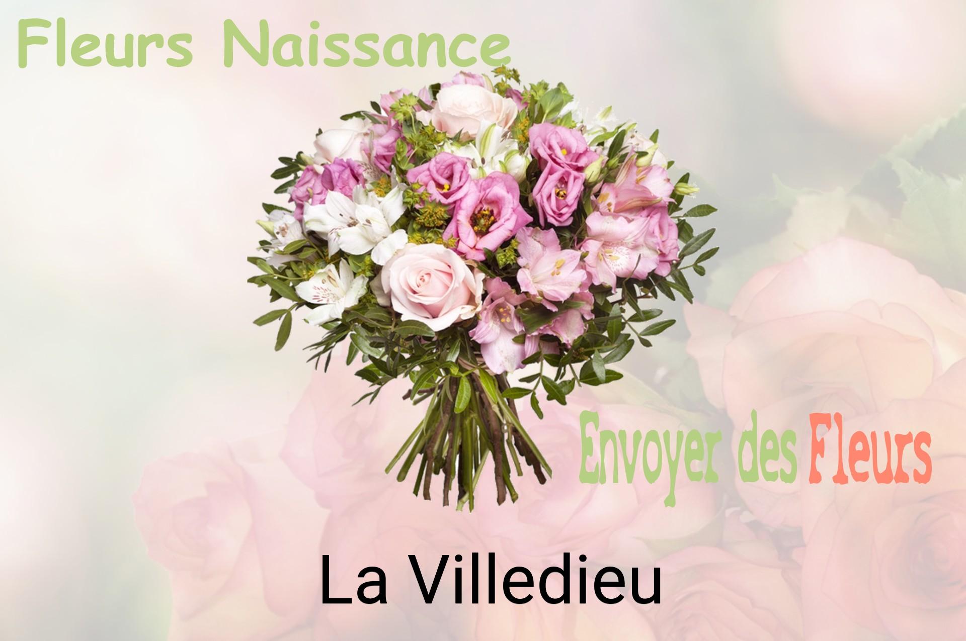 Bouquet de fleurs de naissance livré à La Villedieu